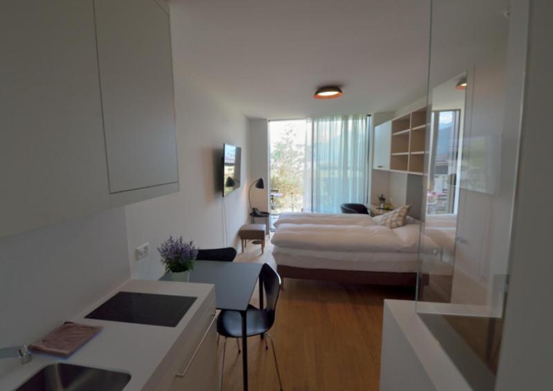 1 room studio in the interconnected apartment house (self-catering)