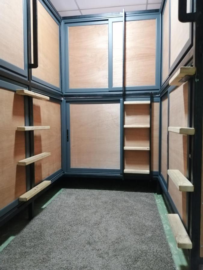 Bed in 8-Bed Mixed Dormitory Room