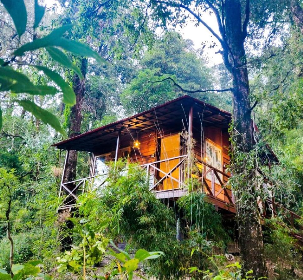 Machaan tent