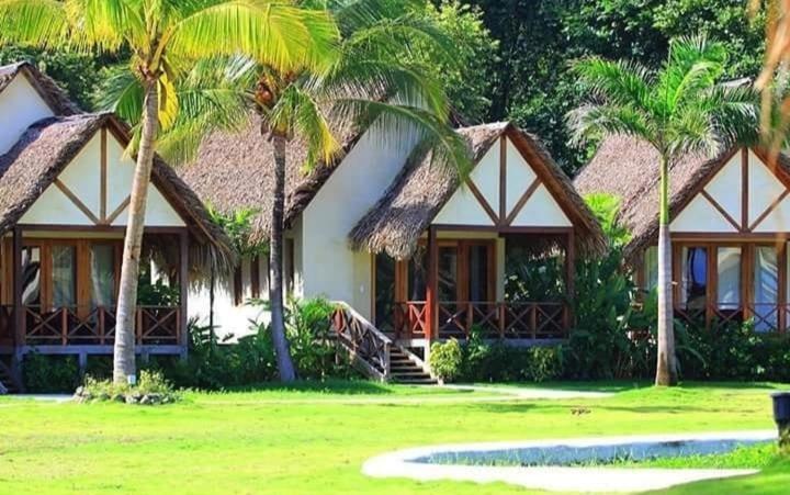 Double Room with Two Double Beds