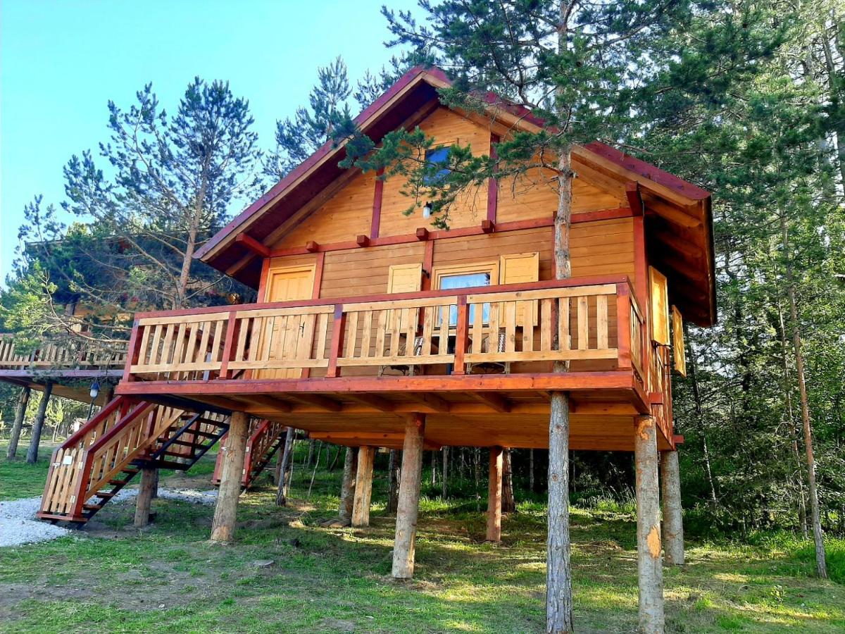 Family Tree House