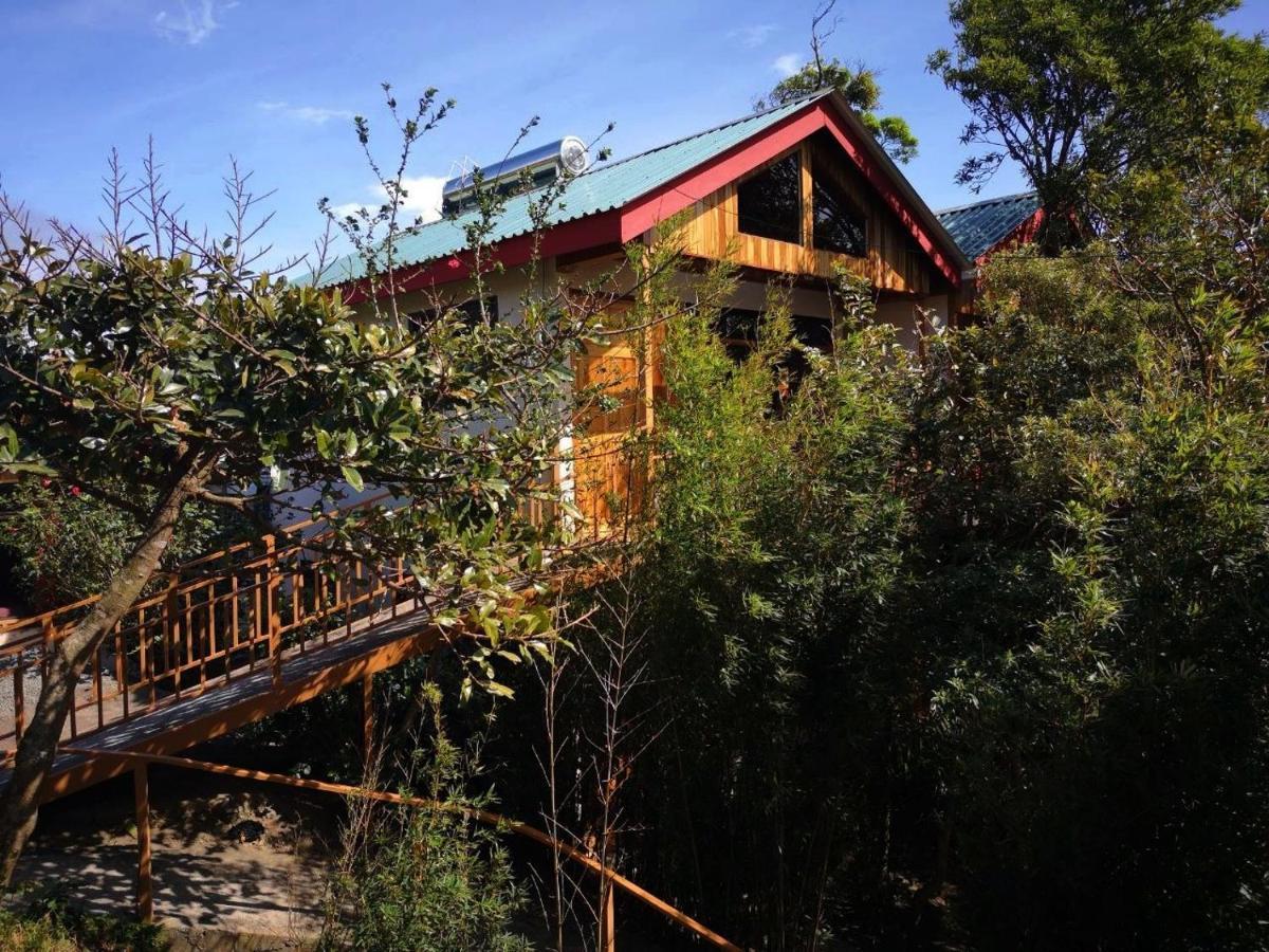 Deluxe Bungalow