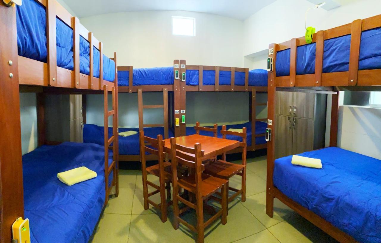 Bed in 8-Bed Mixed Dormitory Room