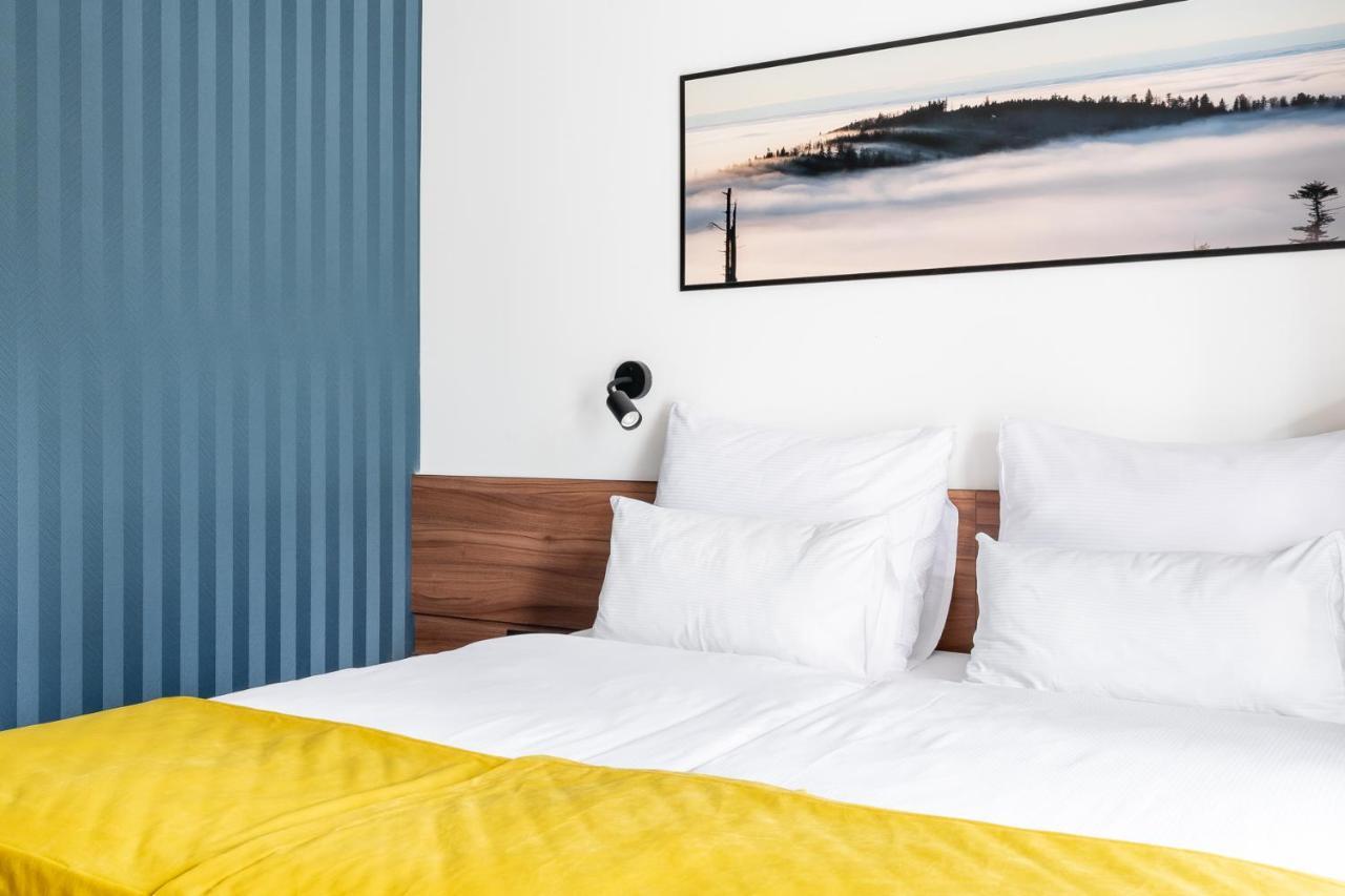 Deluxe One-Bedroom Apartment