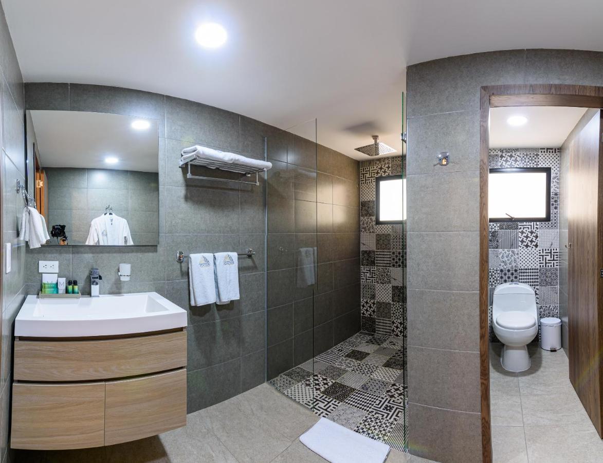 Deluxe Junior Suite with Terrace