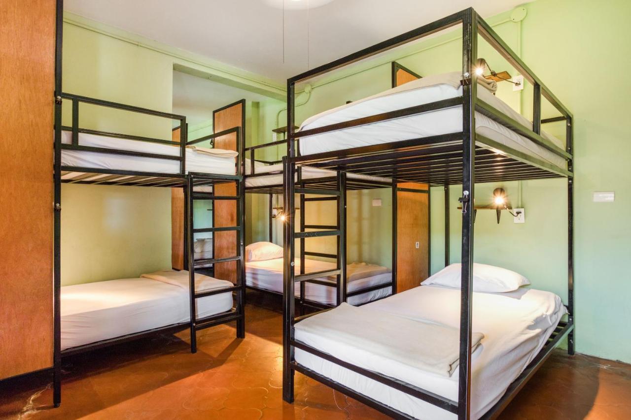 Bunk Bed in Mixed Dormitory Room