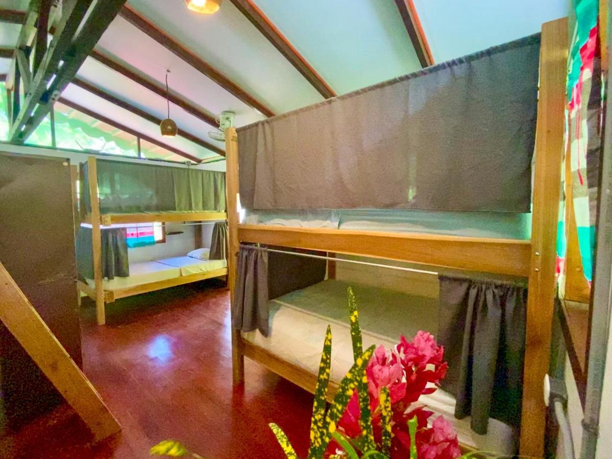 Bed in 6-Bed Mixed Dormitory Room
