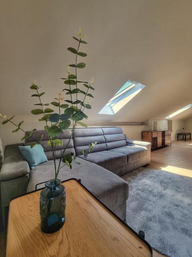 Penthouse Apartment