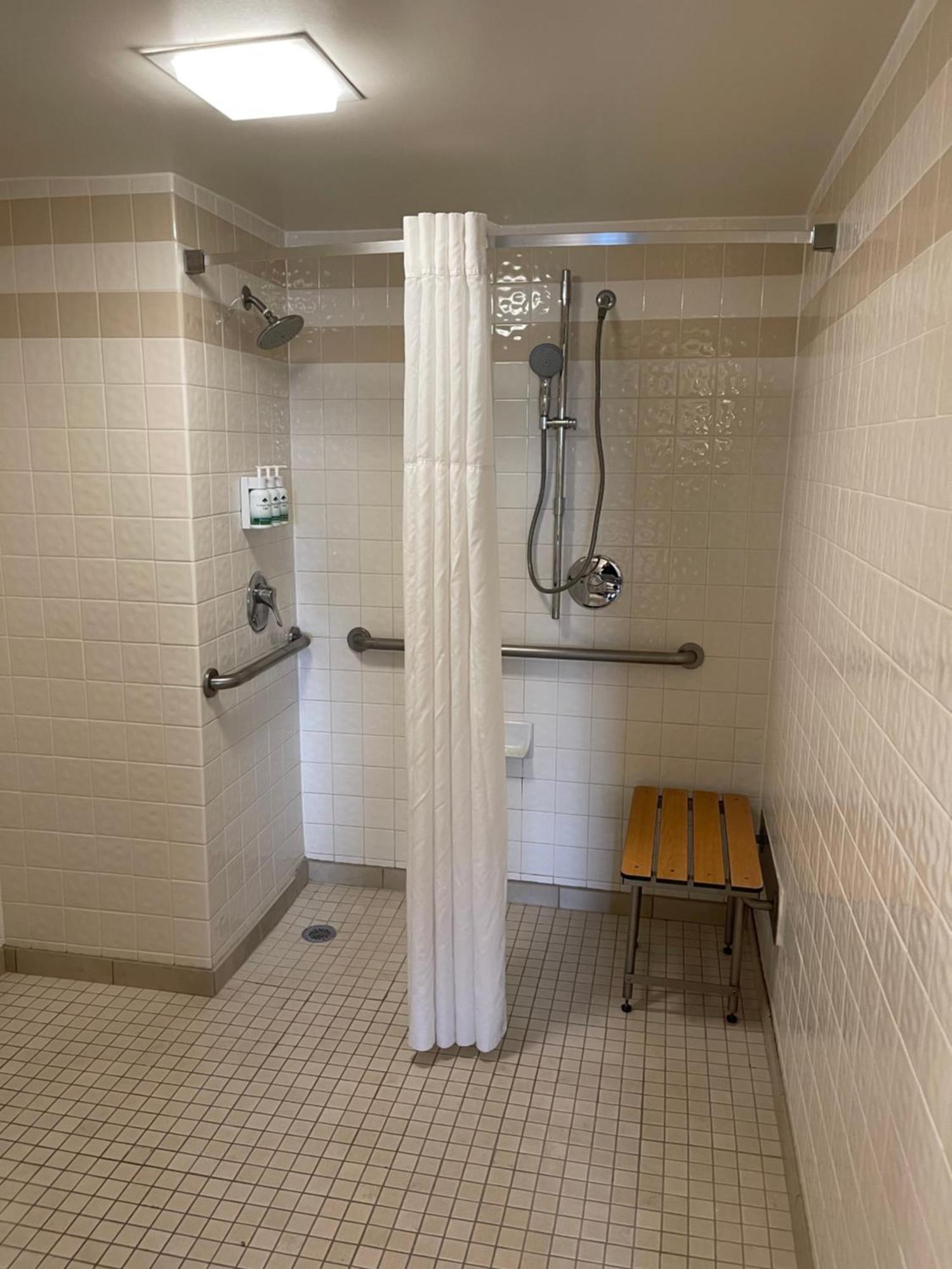 Accessible - One-King Room (roll-in shower)