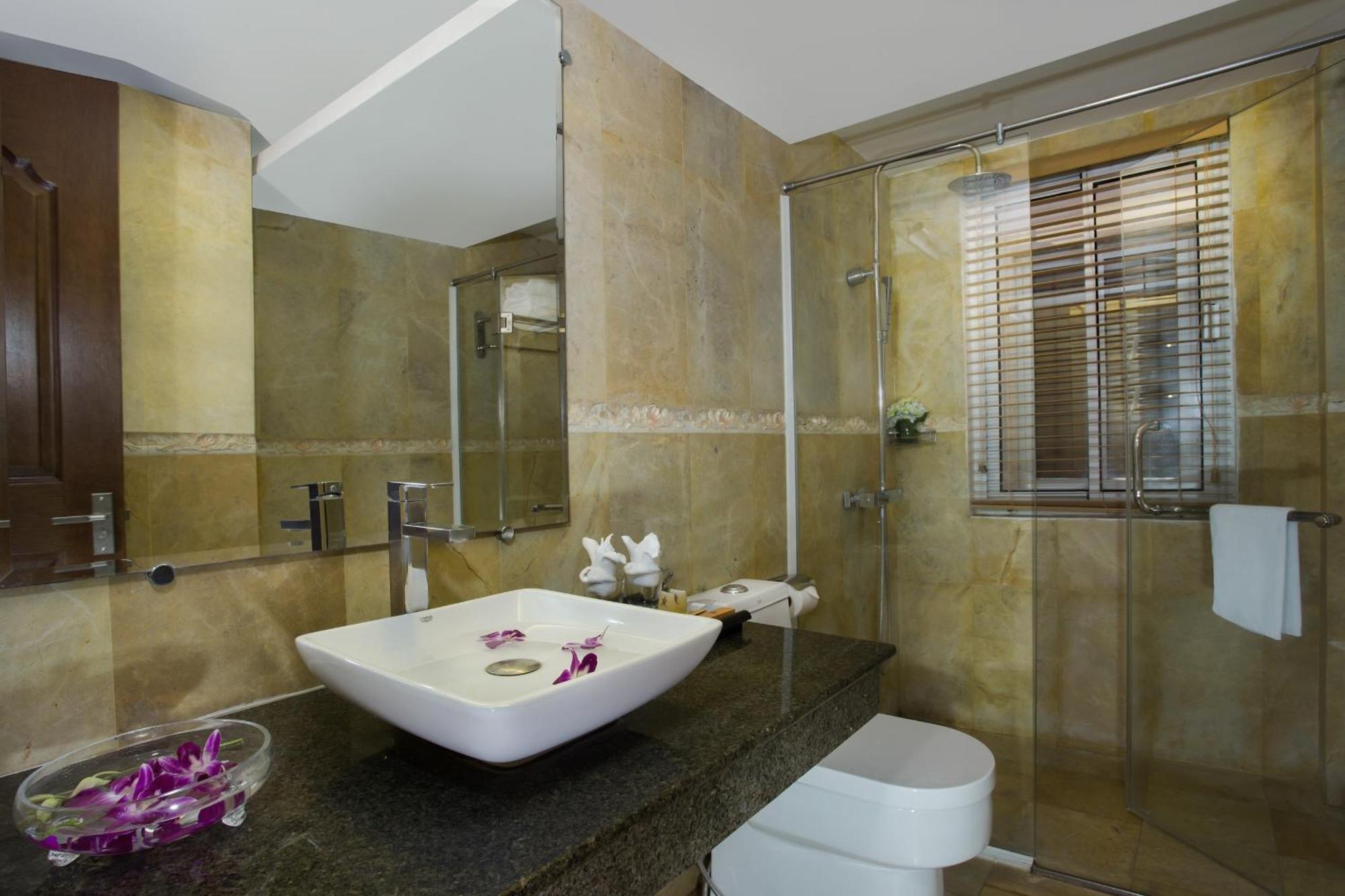 Superior Double or Twin Room with City View