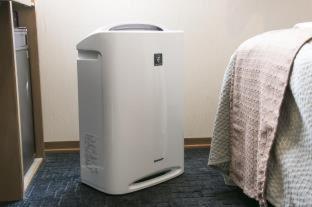Two Adjacent Single Rooms - Non-Smoking