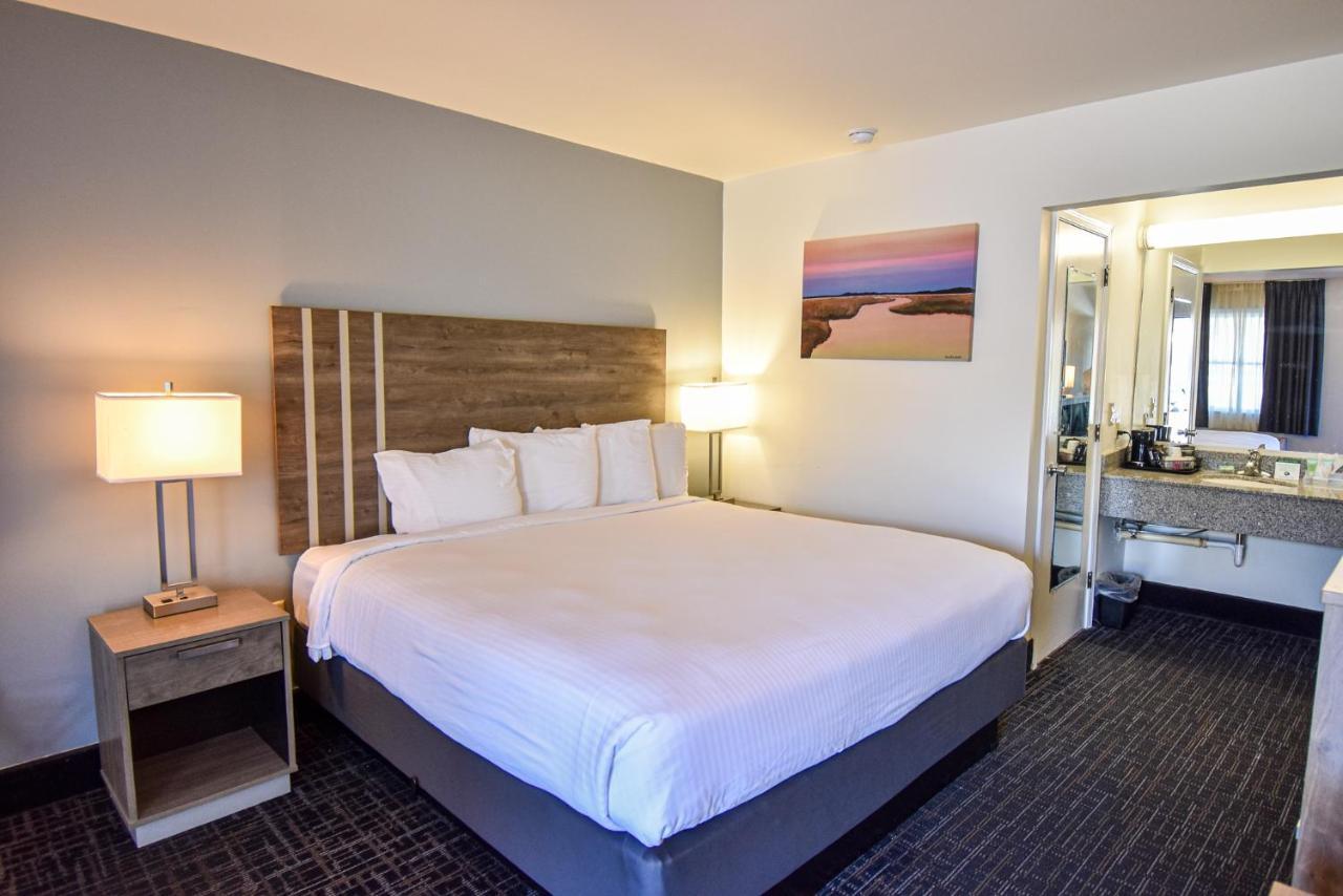 Standard King Room,1226245682:JPEG