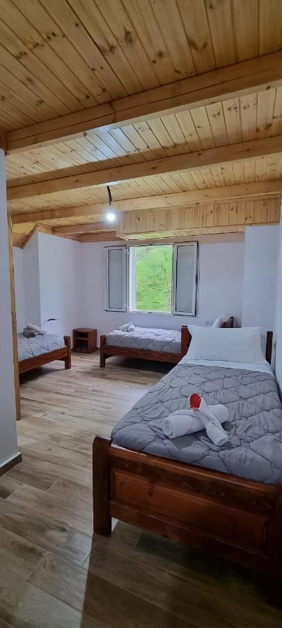 Basic Triple Room