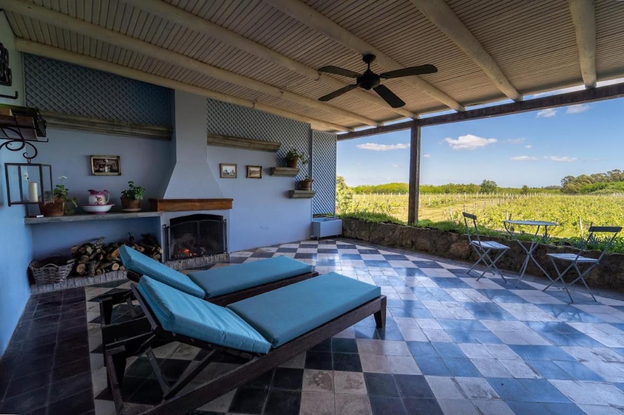 Suite with Vineyard View