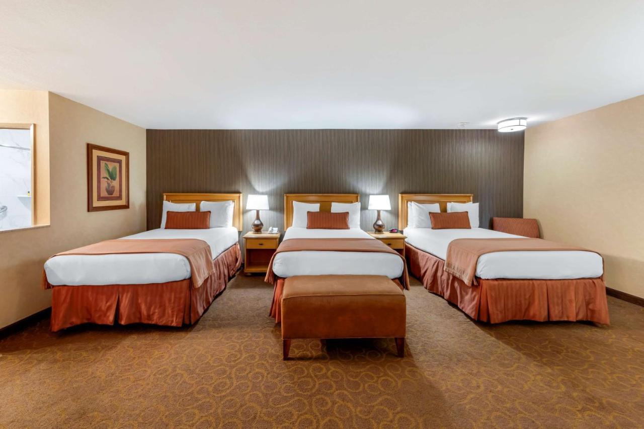 King Room with 3 Double Beds  - Non-Smoking