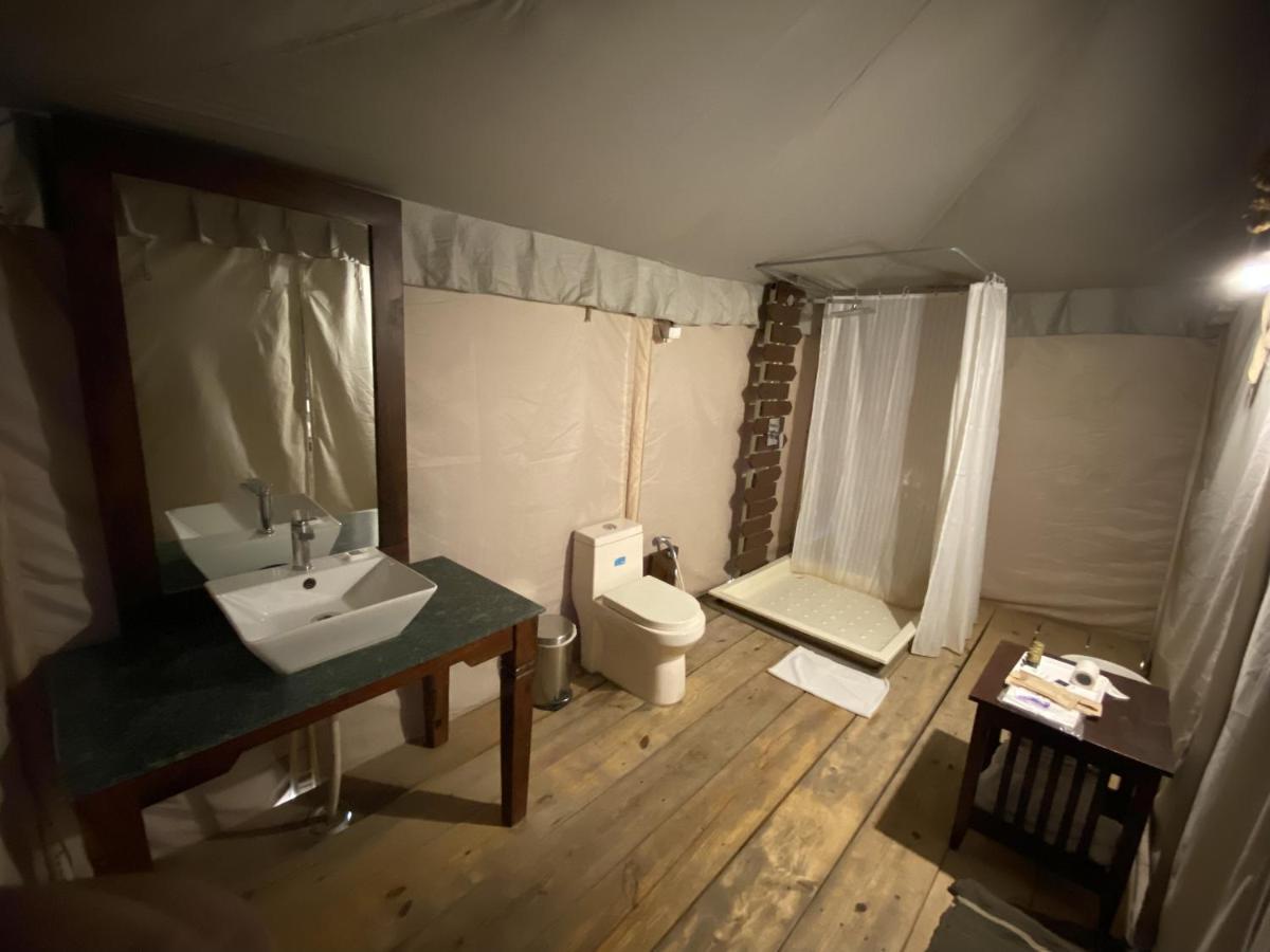 Luxury Camp