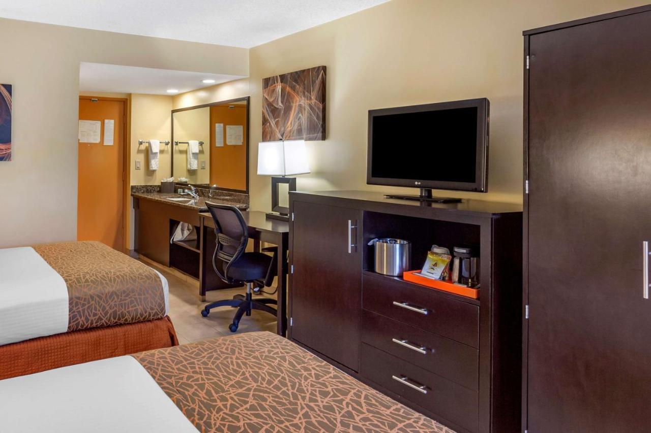 Double Room with Two Double Beds and Roll-In Shower and View - Disability Access/Pet Friendly/Non-Smoking