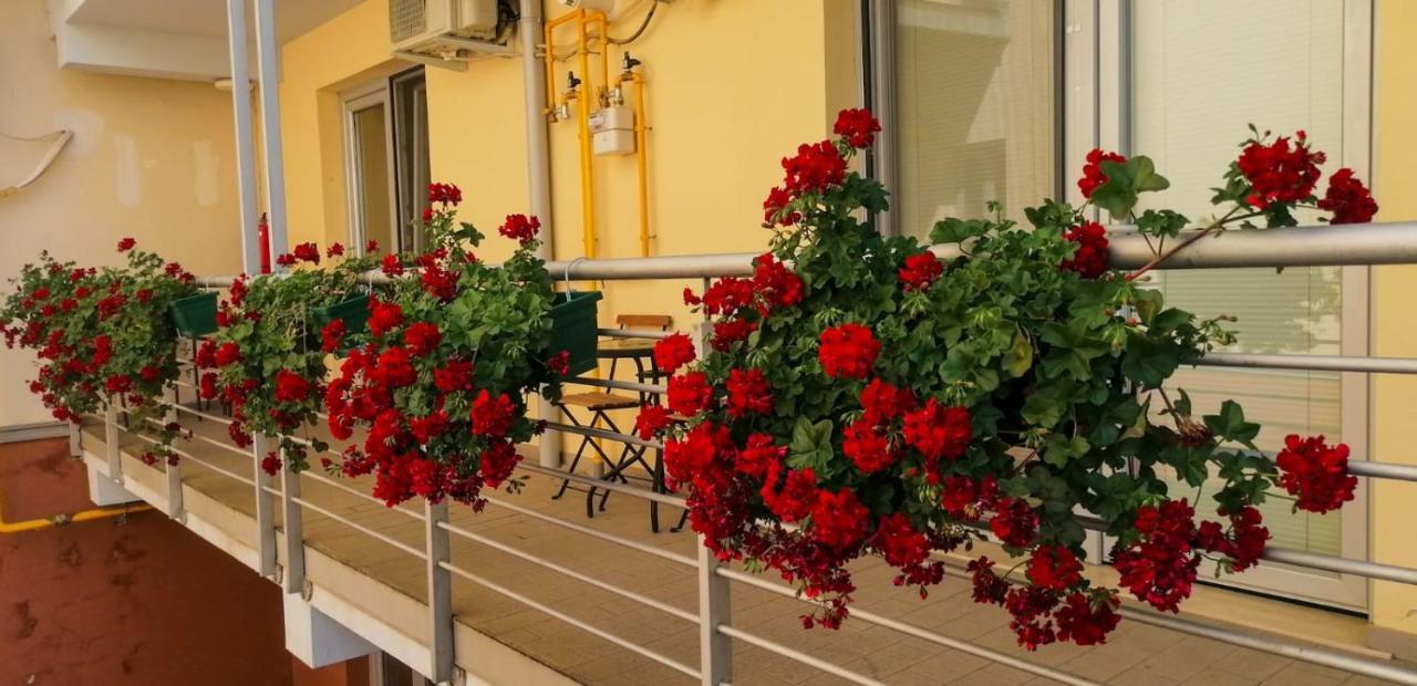 Studio with Balcony