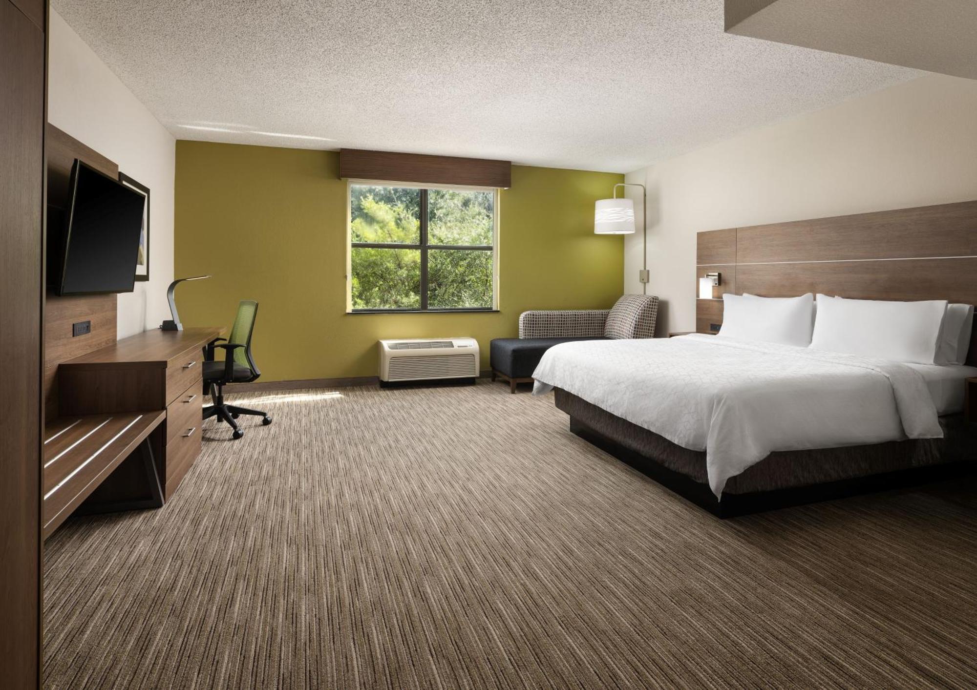 One-Bedroom Suite with Sofa Bed