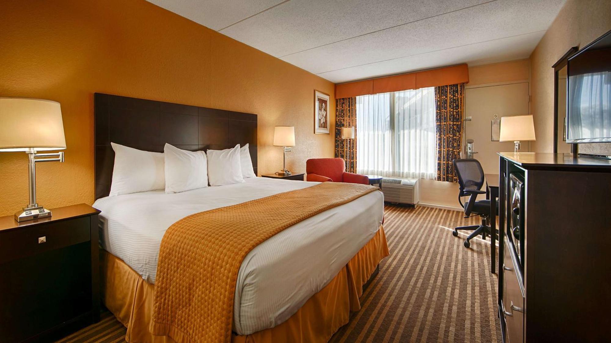 King Room with Roll-In Shower - Pet Friendly/Disability Accessible