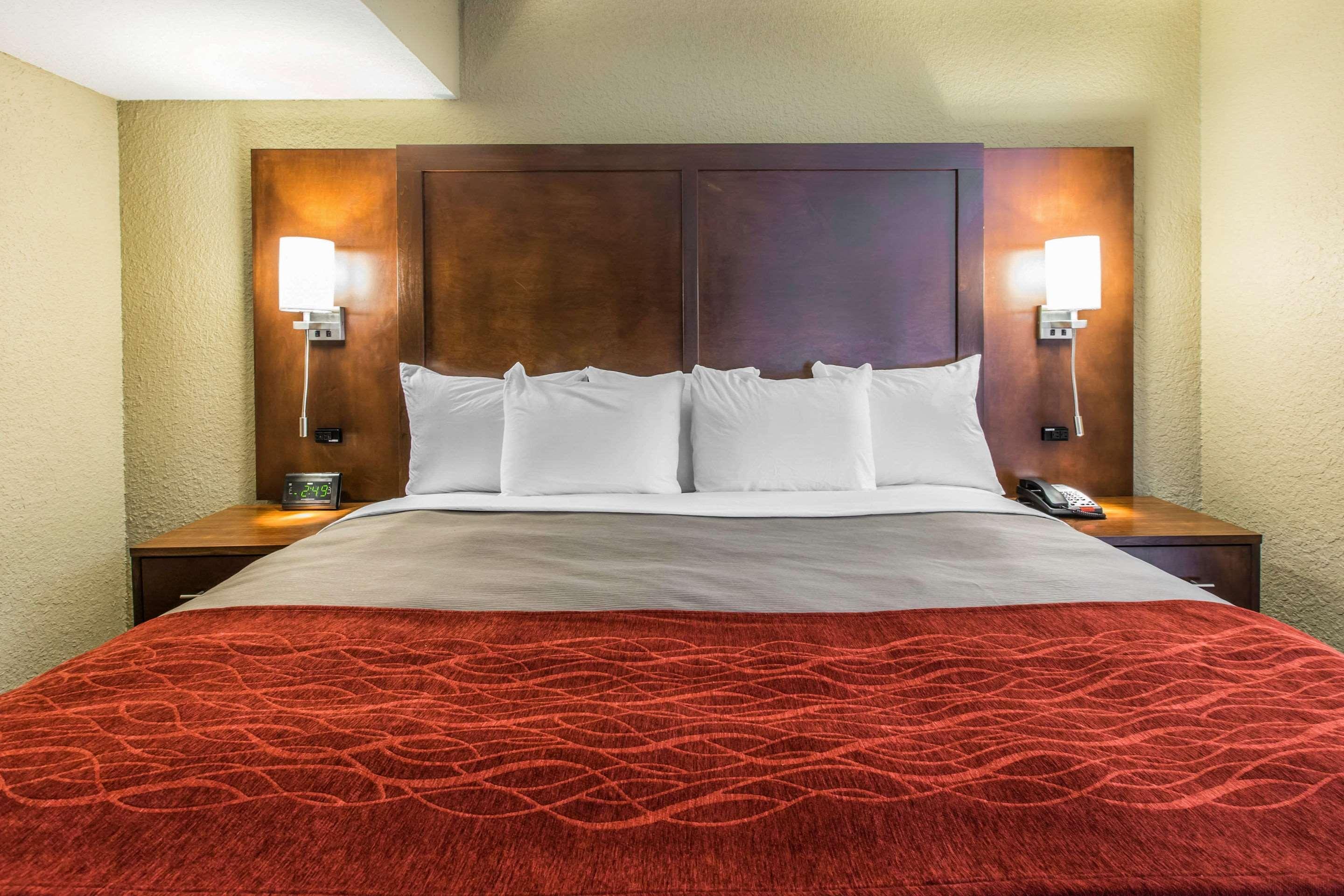 King Suite with Sofa Bed