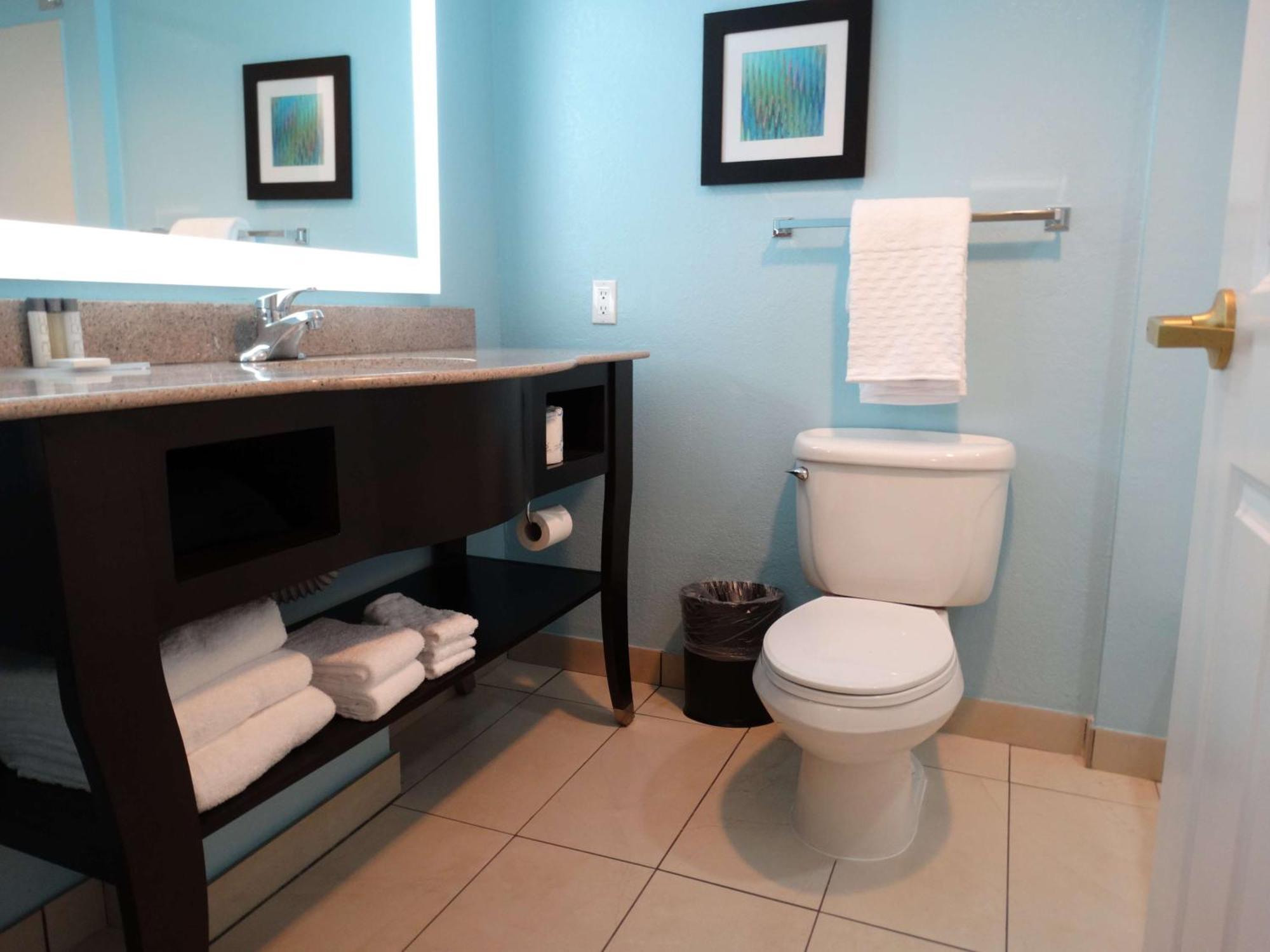 One-Bedroom King Suite with Sofa Bed - Non-Smoking