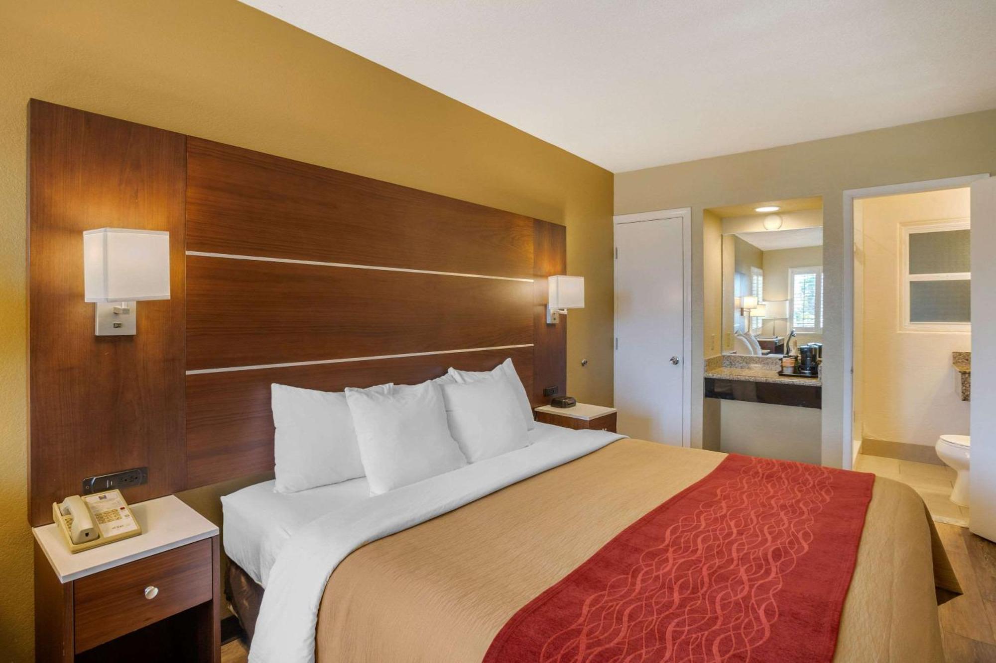 Standard Room, 1 King Bed, Non Smoking