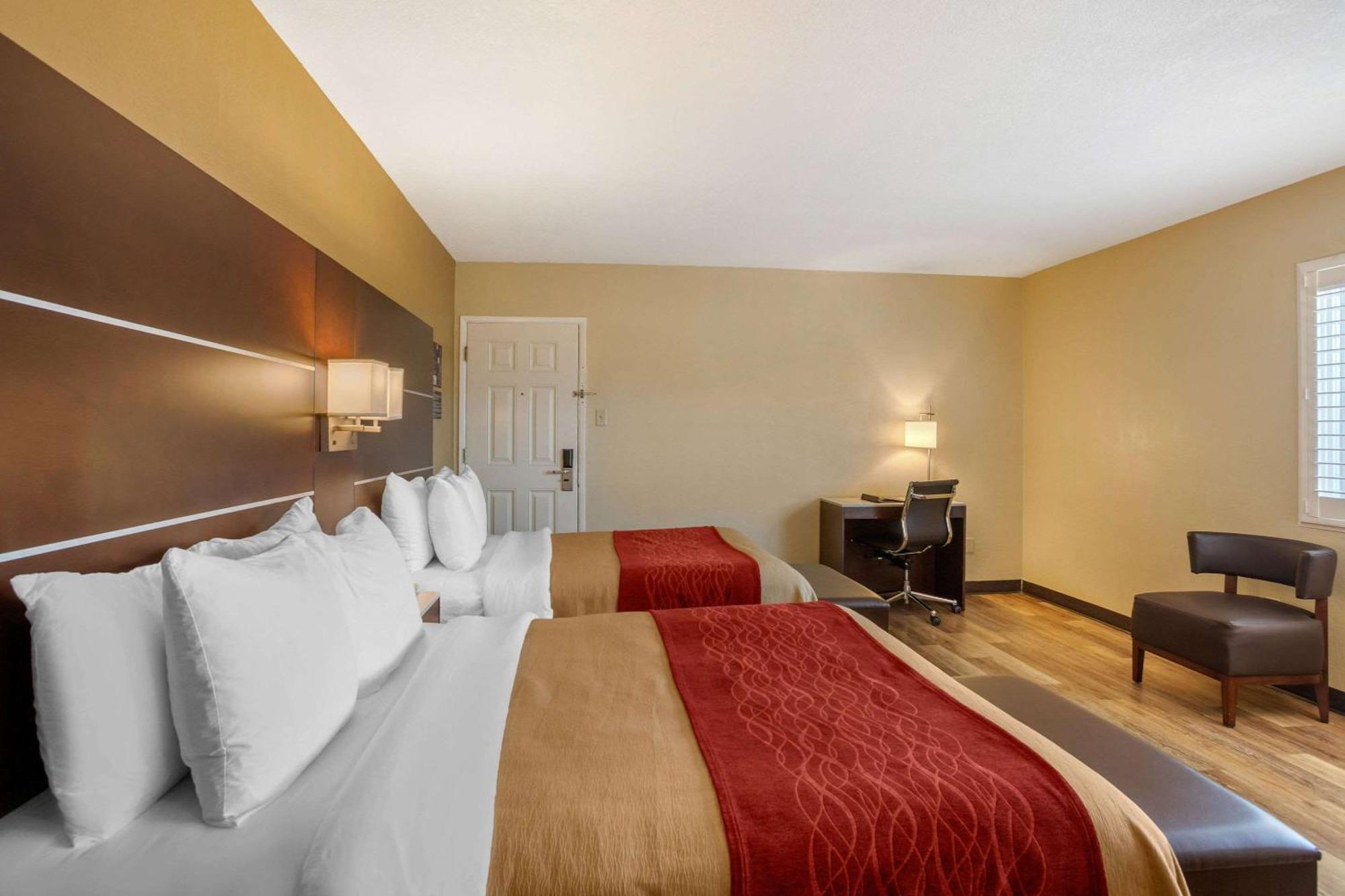 Standard Room, 2 Double Beds, Non Smoking