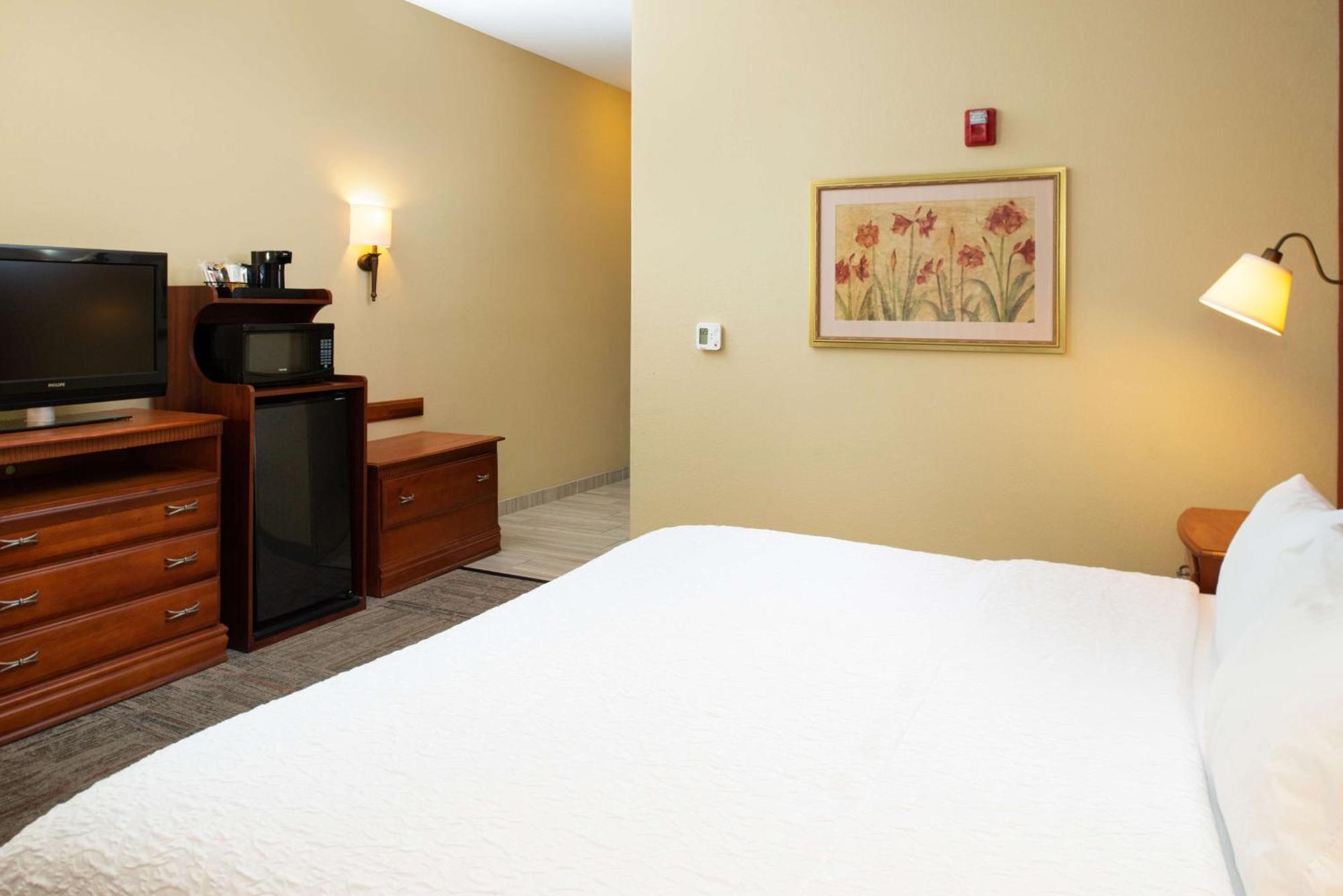 King Room with Roll-In Shower - Mobility Access/Non-Smoking