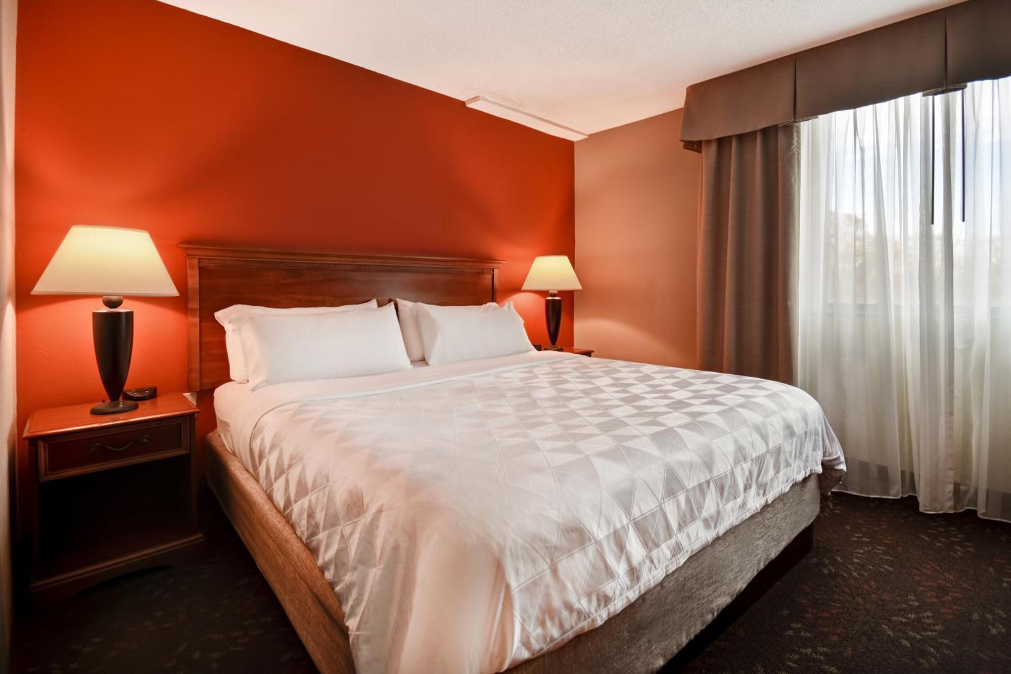 King Suite with Sofa Bed