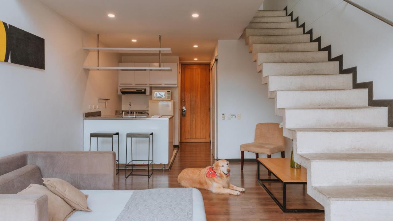 Duplex Apartment