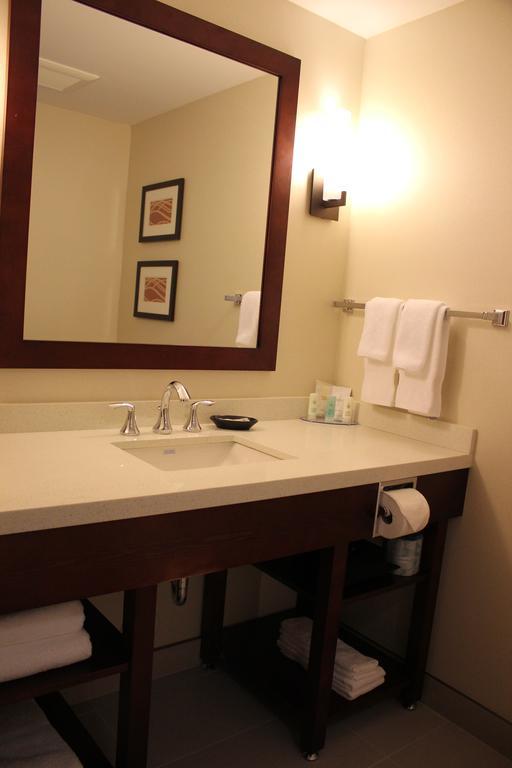 Executive King Suite with Sofa Bed