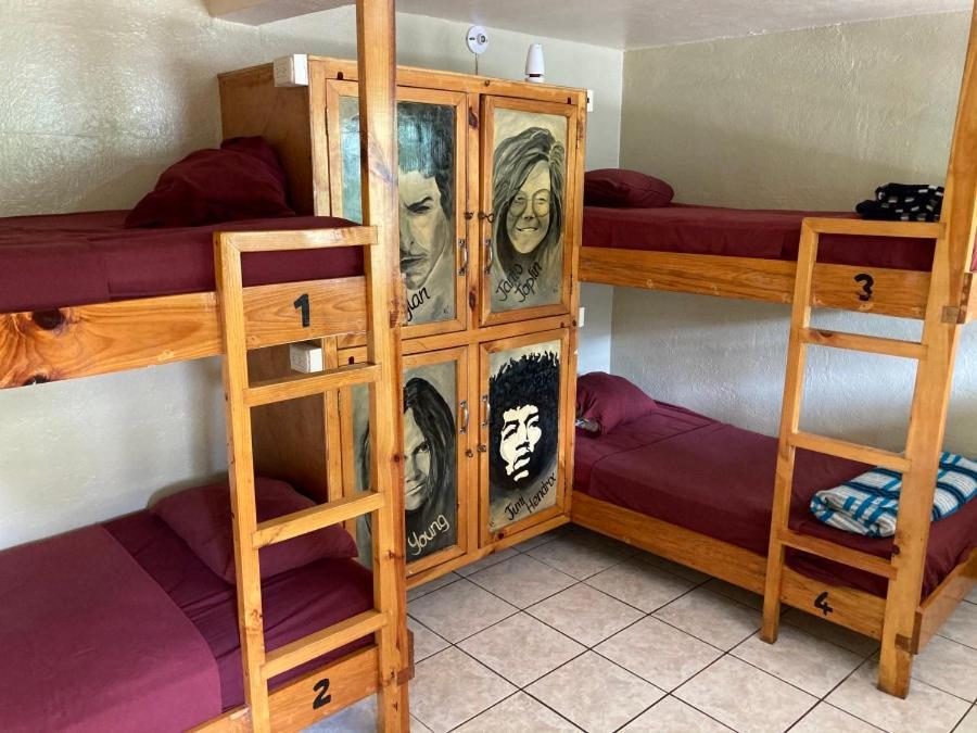 Bed in 4-Bed Mixed Dormitory Room