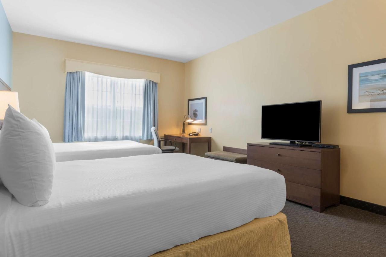 King Suite with Sofa Bed