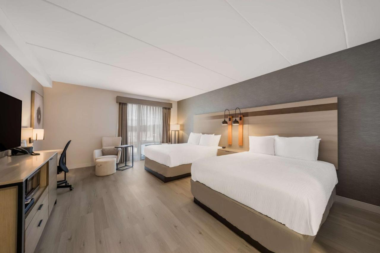 Queen Room with Two Queen Beds - Disability Access Roll in Shower