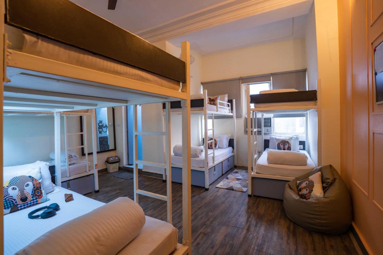Bed in 8-Bed Dormitory Room