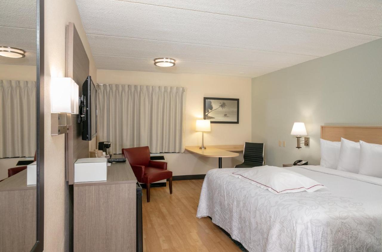 Premium King Room Disability Access Smoke Free (Upgraded Bedding and Snack Box)