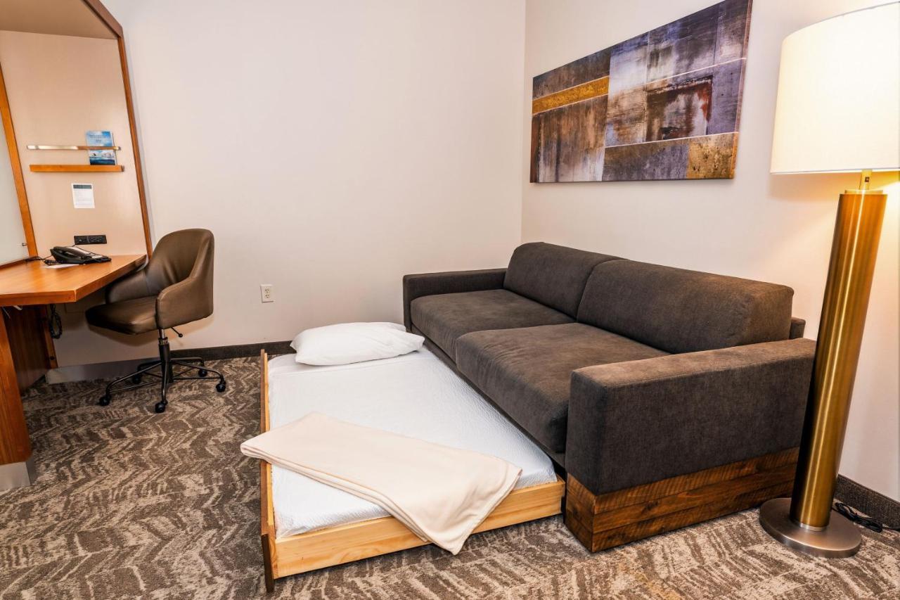 King Suite with Trundle Sofa