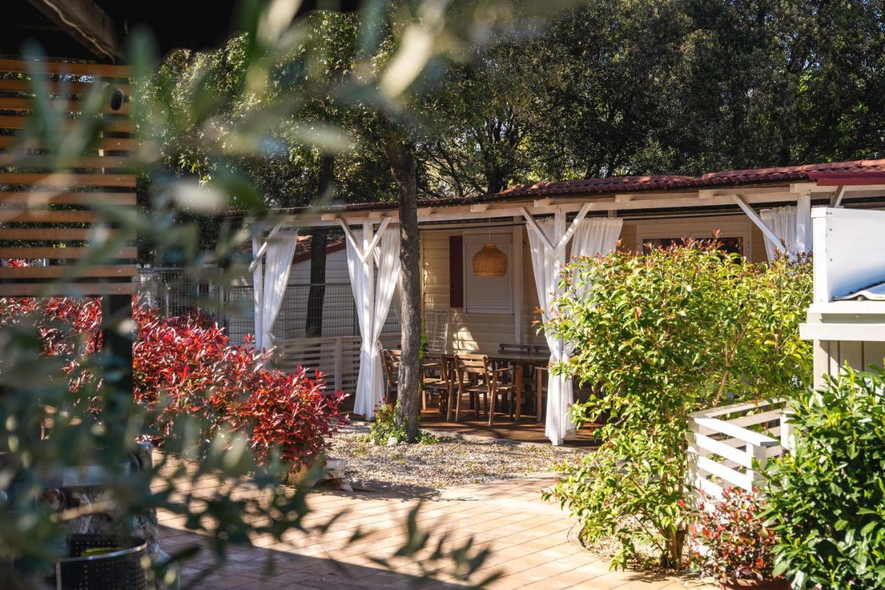 Superior Three-Bedroom Mobile Home with Garden View