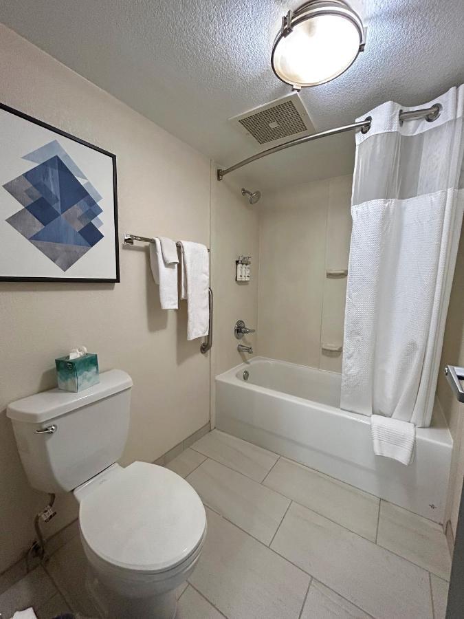 King Studio Suite