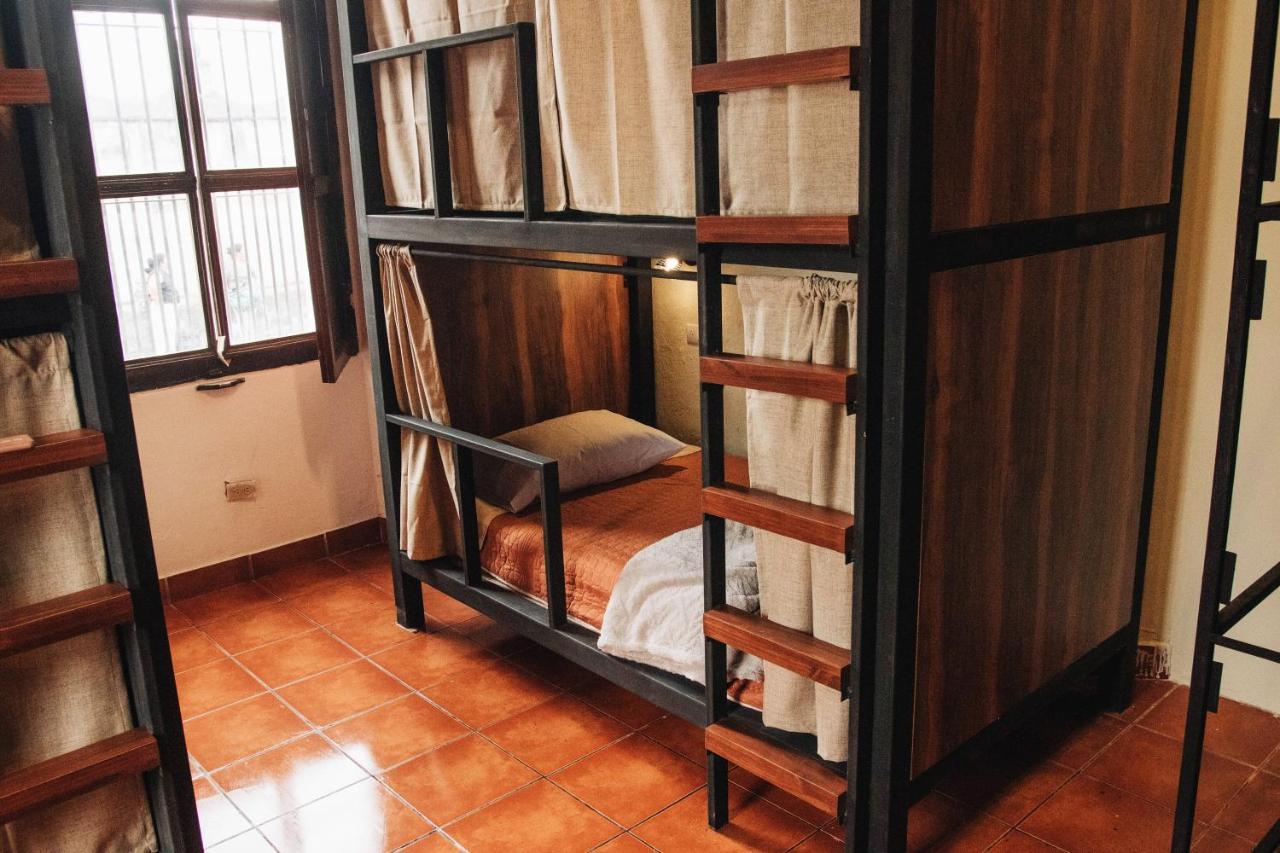 Bunk Bed in Mixed Dormitory Room