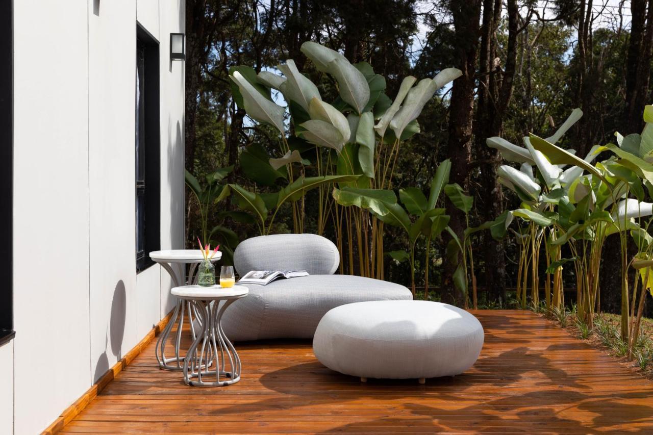 Duplex Suite