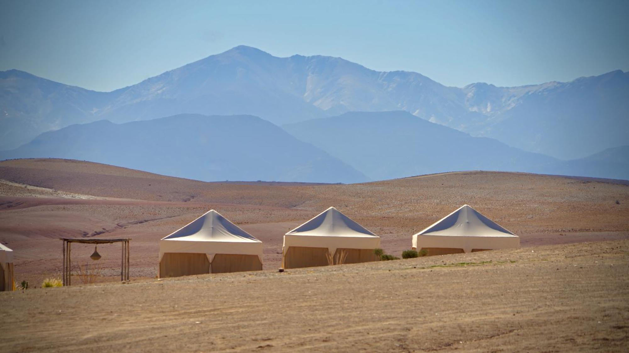 Discovery Tent