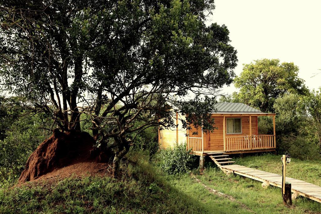 Wooden Cottage Double