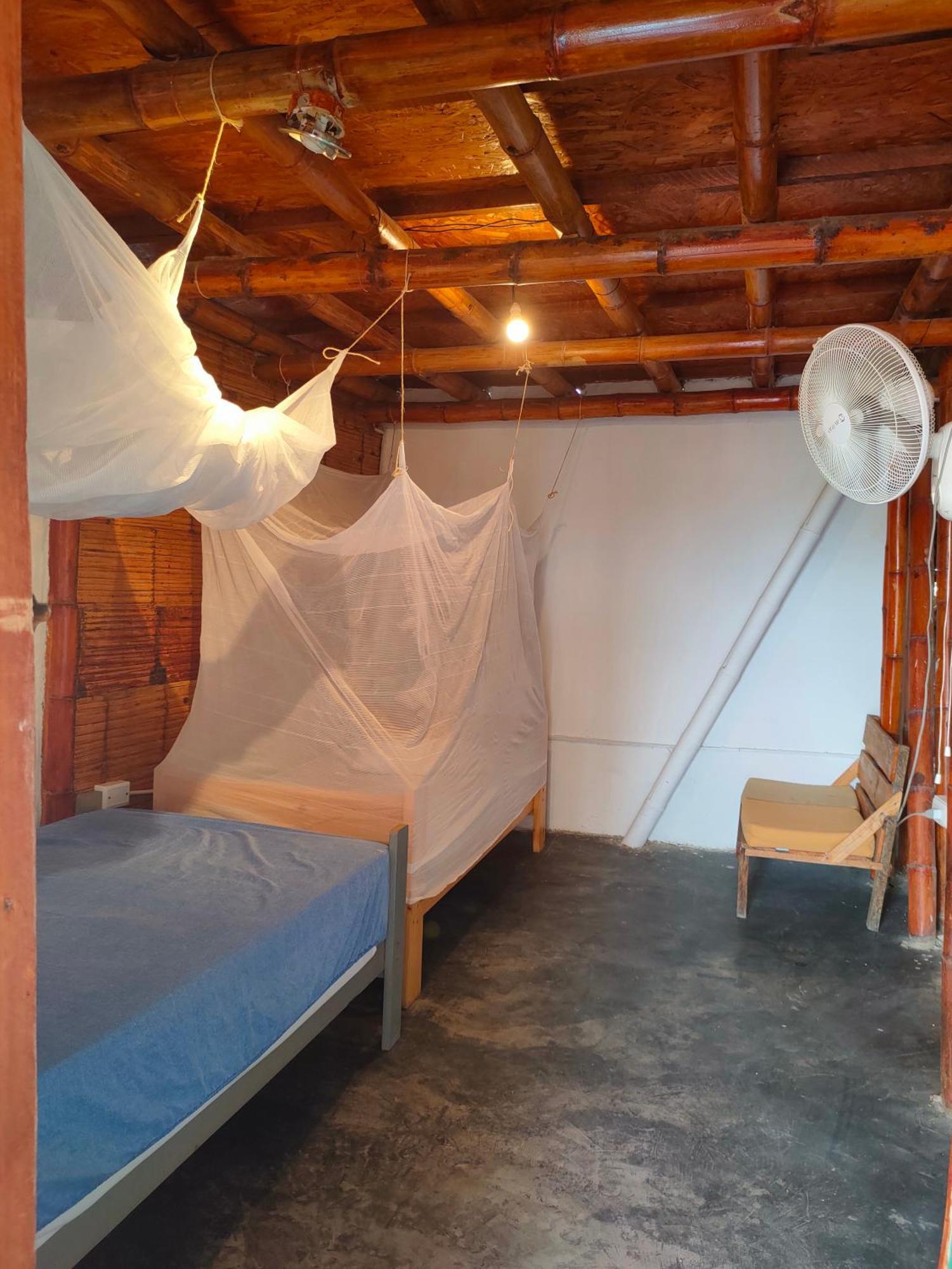 Single Bed in Mixed Dormitory Room