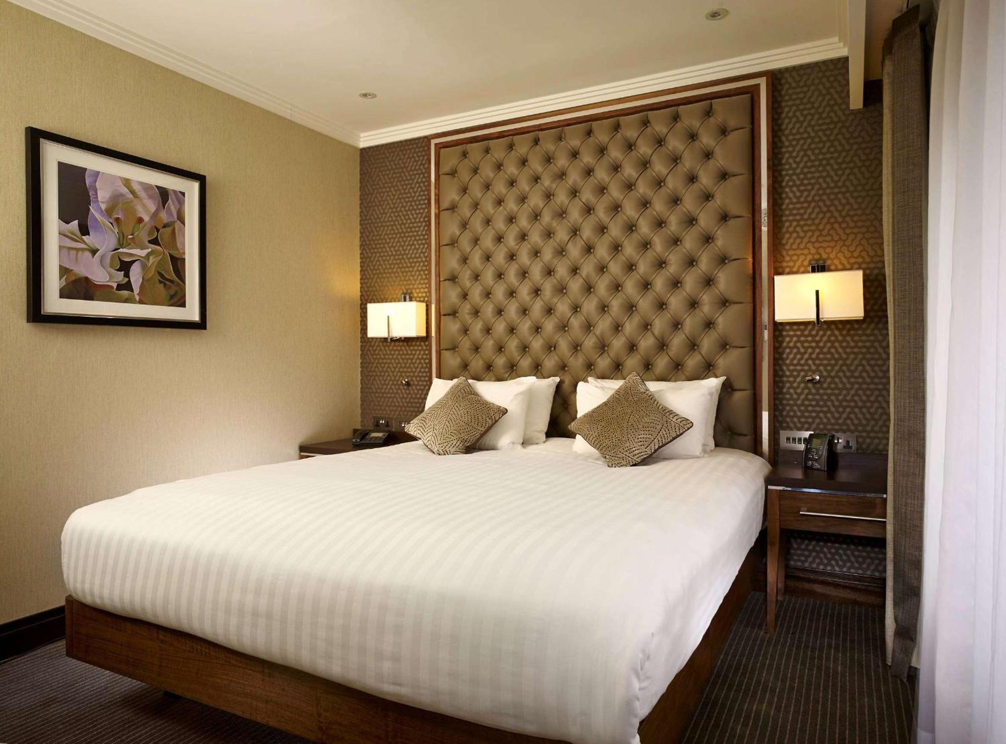 King Studio Suite with Sofa Bed