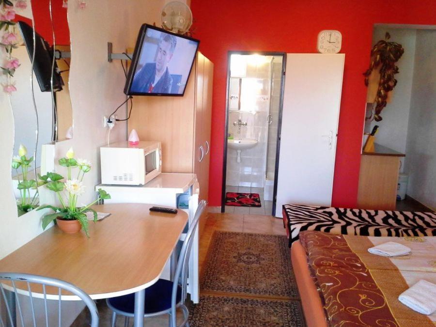 Studio with Terrace