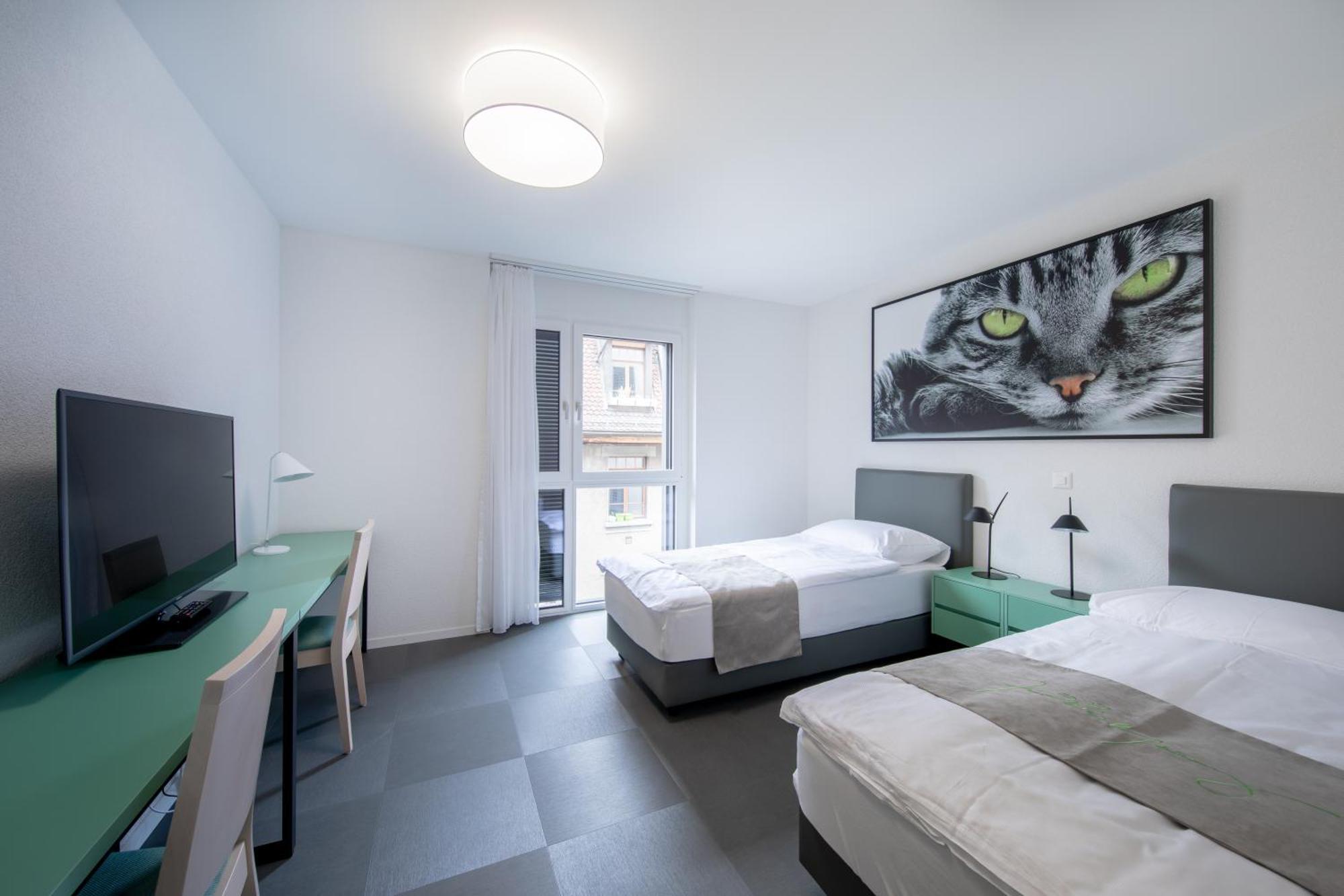 Standard Twin Room