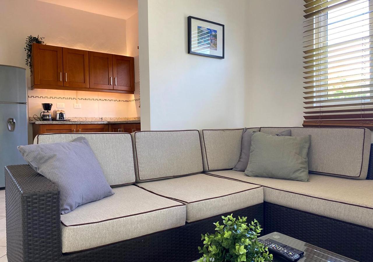 Penthouse Apartment 1
