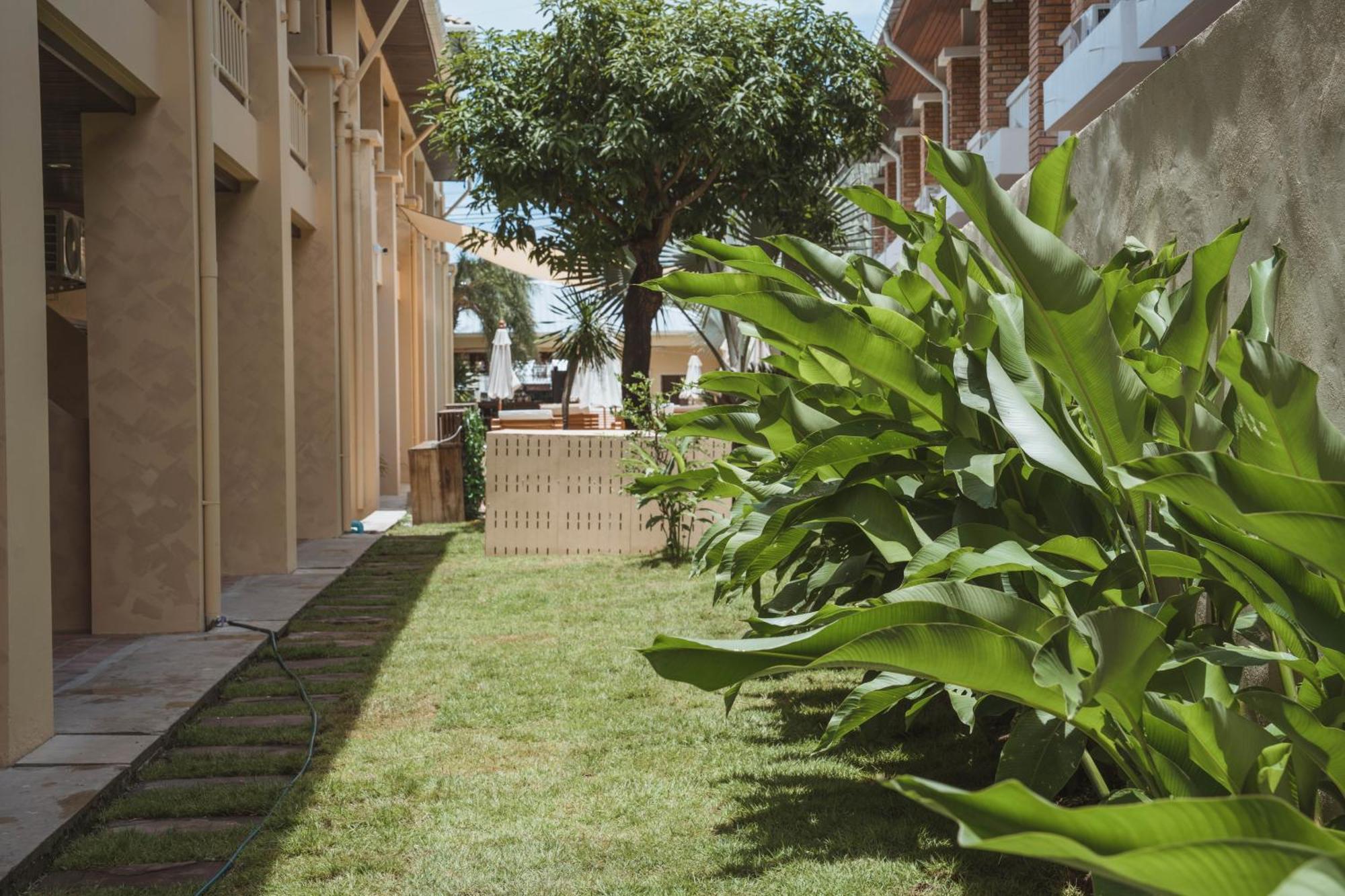 Deluxe Twin Garden View Room
